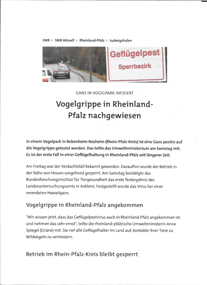 Vogelgrippe im Kommen
